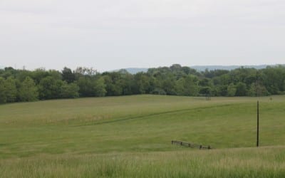 Va. Racing Commission chooses Dave Lermond as chief exec