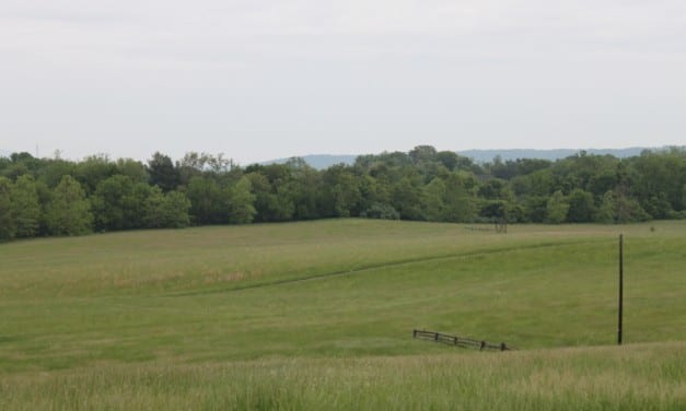 For Virginia racing, Morven Park is back to the future