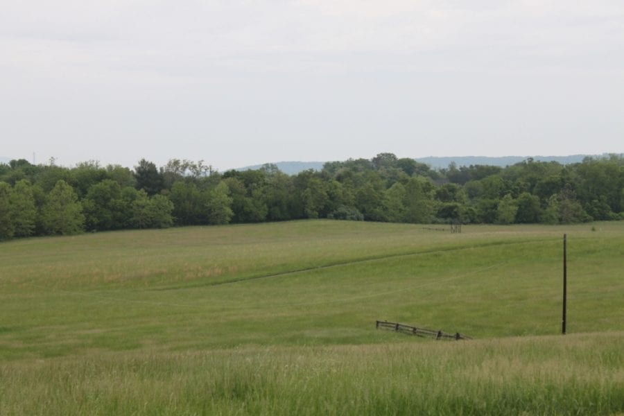 morvenparkhill