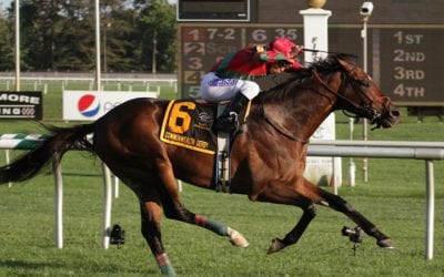 Bill would revitalize the DC International