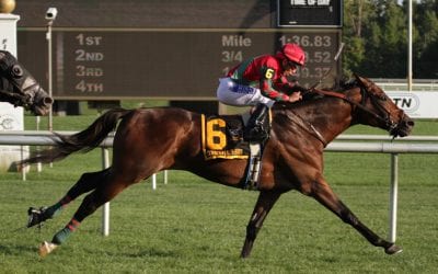 One Go All Go Virginia-bred of the the year for 2018