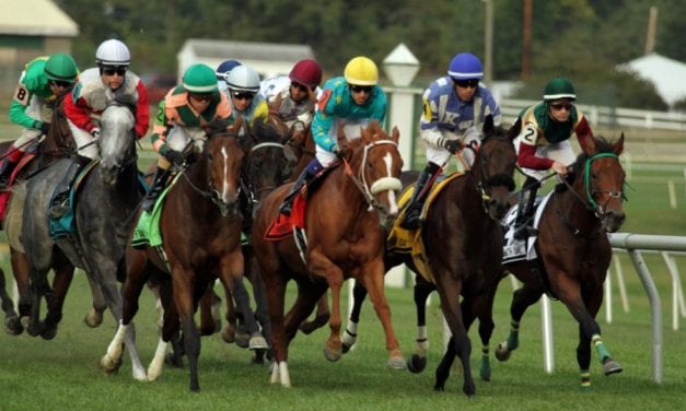 Md. Horse Industry Board eyes film festival