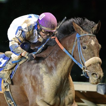 Charitable Annuity - West Virginia Breeders Classic - 29th Running - 10-10-15 - R08 - CT - 004