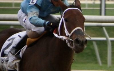 Big figs at Fasig-Tipton November