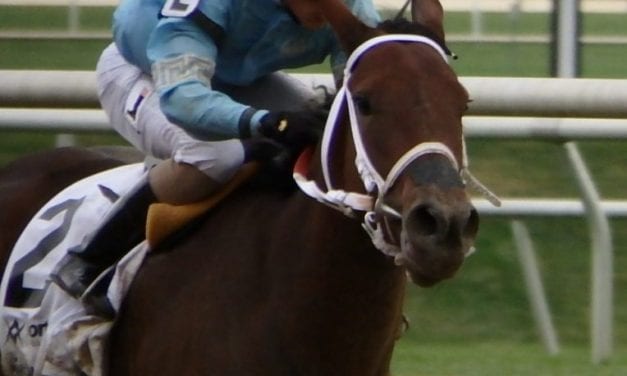 Wide open Lassie draws 11