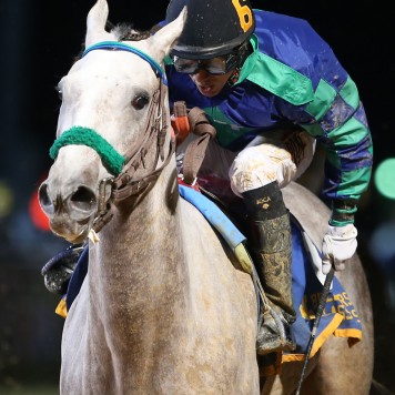 Navy Ribbon - WV Division of Tourism Breeders Classic - 6th Running - 10-10-15 - R02 - CT - 002