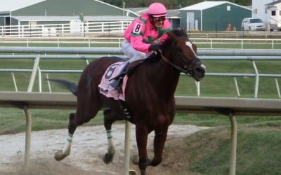 Sinatra: Fingers crossed for “Maryland’s day”