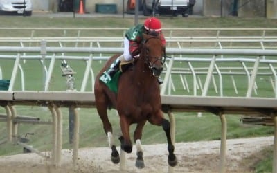 Analysis: Corvus case highlights Maryland drug challenges