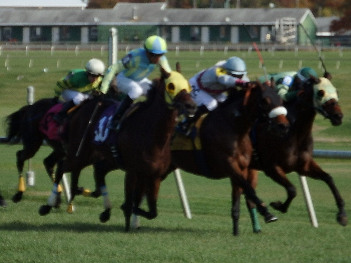 St. Albans Boy sticks his nose in