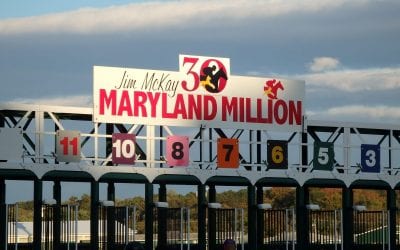 Heather Cellinesi wins Joe Kelly Unsung Hero Award