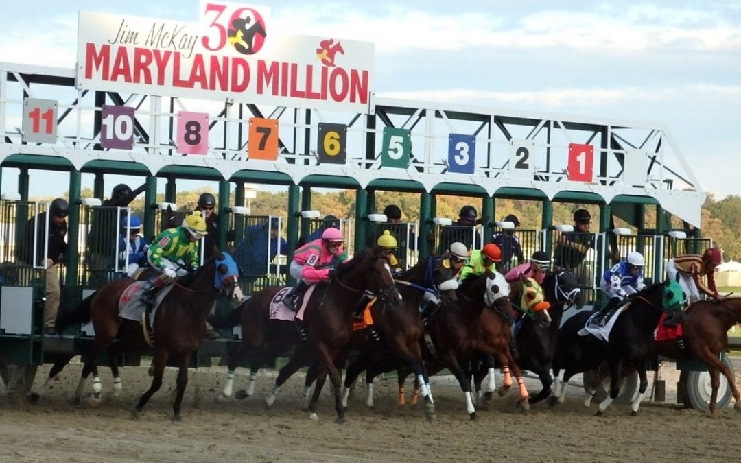 Maryland Thoroughbred Career Program set for June