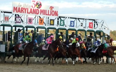 Maryland Thoroughbred Career Program set for June
