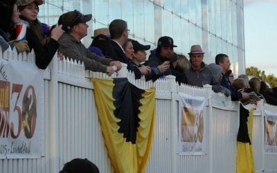 Equestricon convention announces preliminary lineup