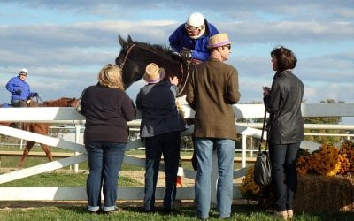 October tabbed Maryland Horse Month