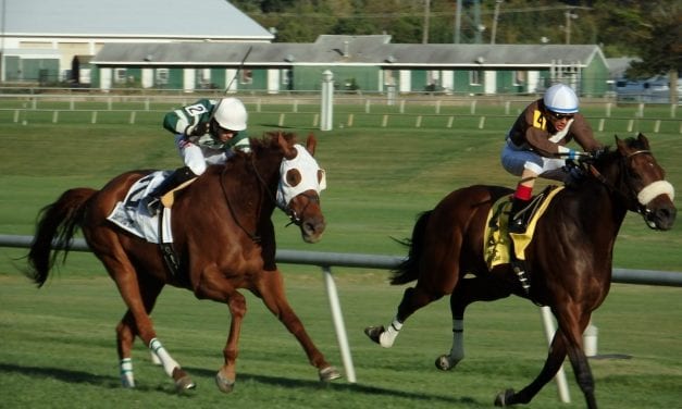 Phlash Phelps posts popular Million Turf victory