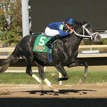 11-15-15 P 05 Big Louie D FIN