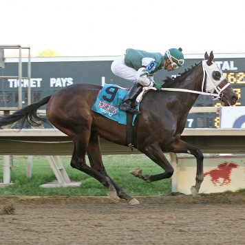 11-15-15 P 08 Eighth Wonder FIN 01