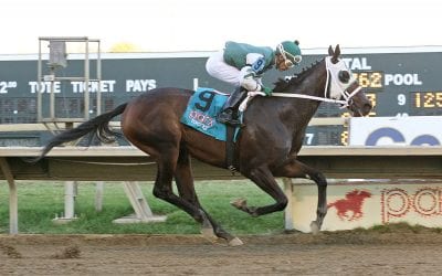 Eighth Wonder looks to overcome nerves in Delaware Oaks