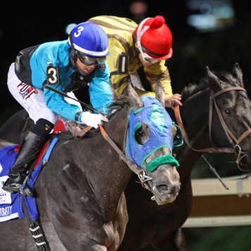 Bullets Fever - Tri-State Futurity - 47th Running - 10-31-15 - CT - 002