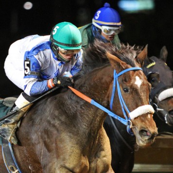 Charitable Annuity - A Huevo Stakes - 11-14-15 - R07 - CT - 002