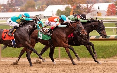 Laurel Park to host Claiming Crown Preview Day