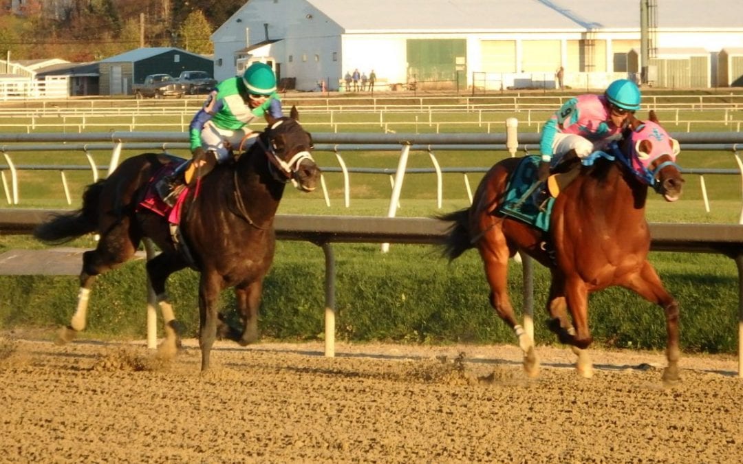 Laurel Park picks and ponderings December 27, 2021