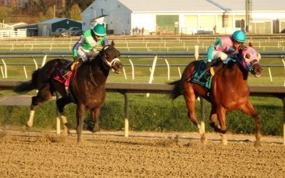 Laurel Park picks and ponderings December 27, 2021