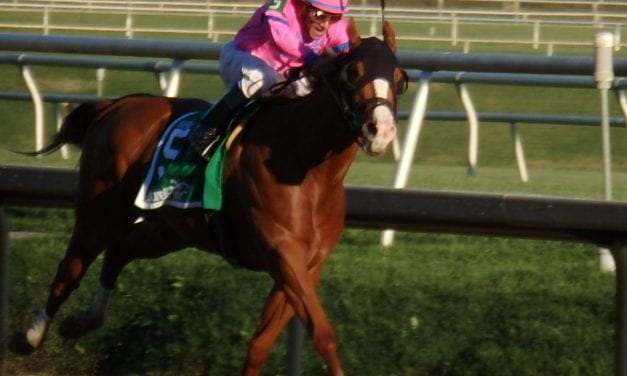 G3 winner Hot City Girl tops Willa on the Move entries