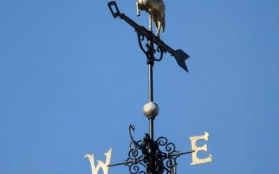 Heavy rains force Laurel Park to cancel half of Thursday card