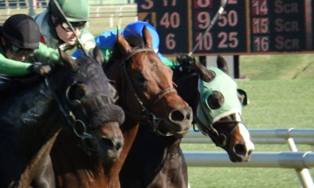 Laurel Park to race Mondays in the fall