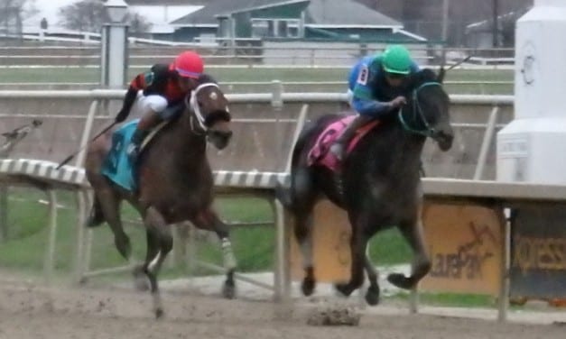 Flattering Bea aims for second Sugar Maple crown