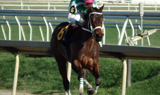 Cathryn Sophia wows in Gin Talking triumph