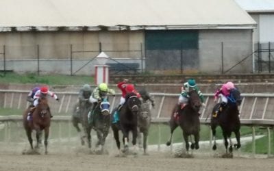 English Tudor tests clean, Laurel quarantine lifted