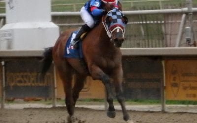 DTHA Governors Day Stakes odds and preview