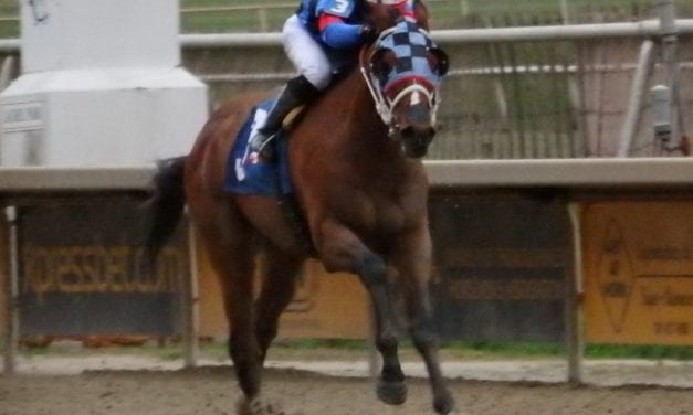 DTHA Governors Day Stakes odds and preview