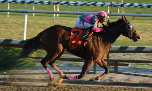 Lady Sabelia returns in Primonetta Stakes