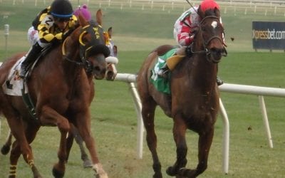 Claiming game changes present challenges for tracks, horsemen