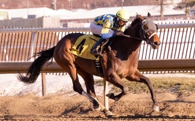Slots, stability fuel Maryland breeding rise