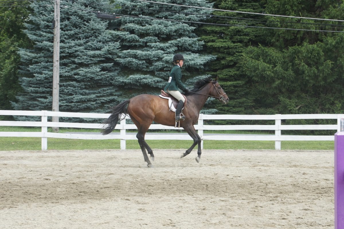 Candy Feat, who cheated death, succumbs to laminitis