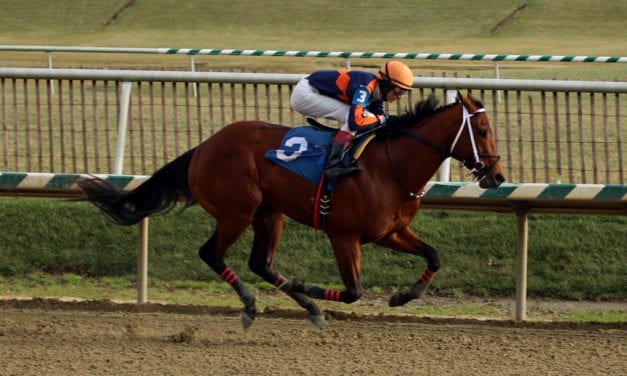 Solid group with local flavor set for Coalition Stakes