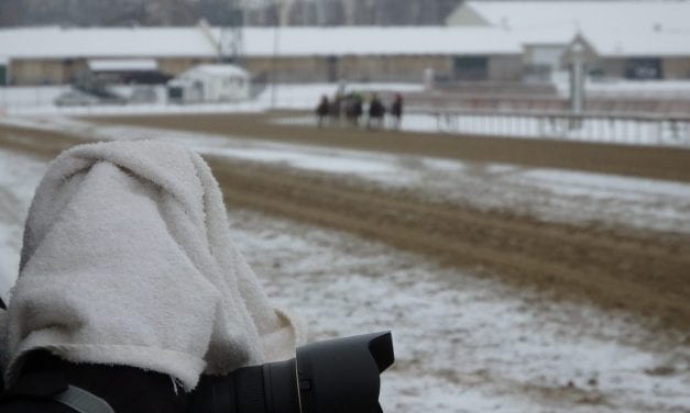 Laurel Park postpones Monday stakes card