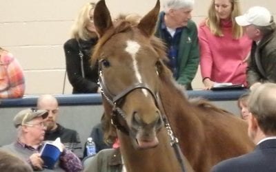 Wanamaker’s releases November sale catalog