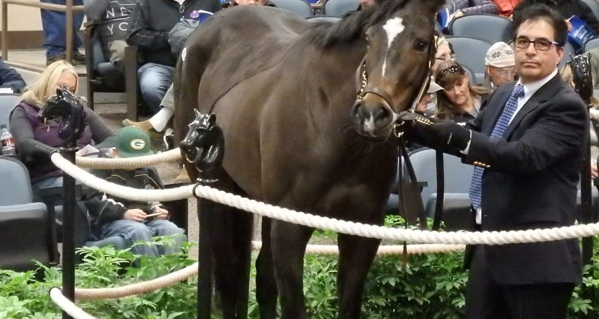Analysis: Declining buybacks at Fasig-Tipton
