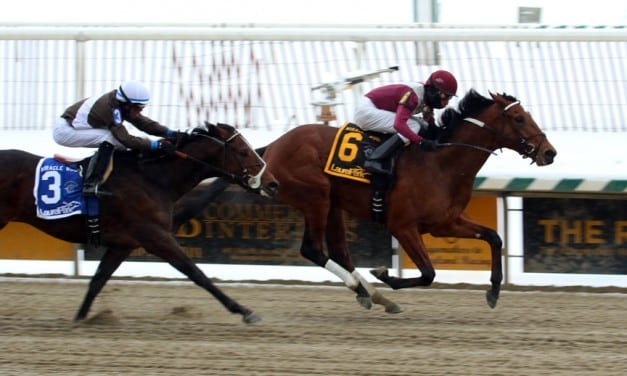 Marengo Road looks to bounce back in Tesio