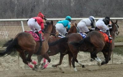 Three Midlantic trainers denied stud book privileges