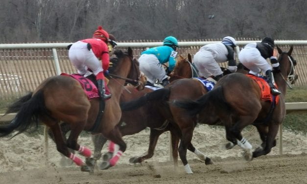 ARCI to create compliance program, audit stewards