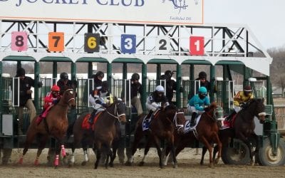 Maryland, Delaware rule glaucine positives environmental contamination