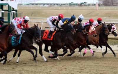 Out-of-competition testing, research seen as keys to clean racing