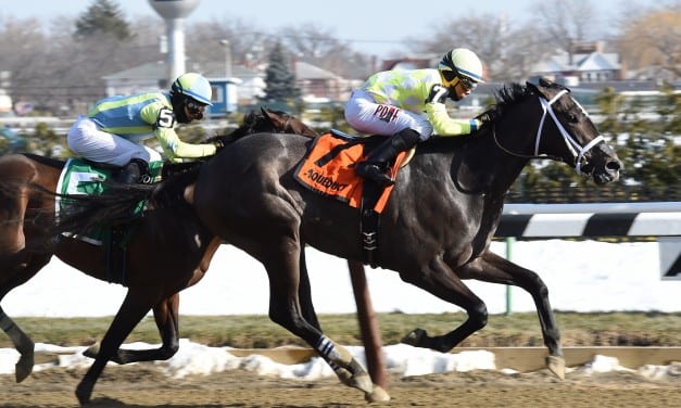 Sunny Ridge aims for G3 Gotham glory