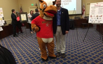 Maryland Horse Industry Day set for Jan. 22